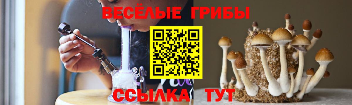 Юрга  Псилоцибиновые грибы ЛСД  Псилоцибиновые грибы прущие грибы  Вход с VPN 